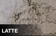 DURAVEL In-Fluence™ Concrete Stain