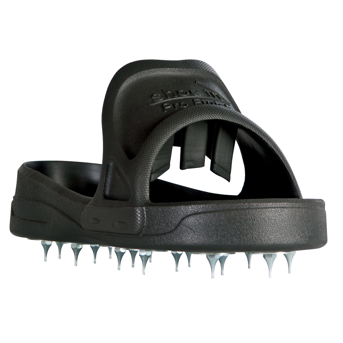 Shoe in Spiked Shoes